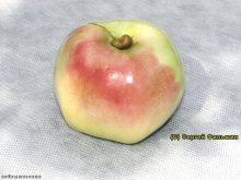 Куйбышевское яблоко