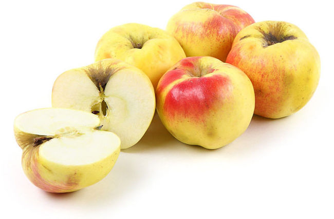 Плоды сорта яблок Богатырь