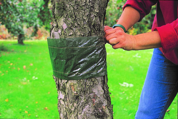 Ловчий пояс для деревьев: три лучших конструкции своими руками
