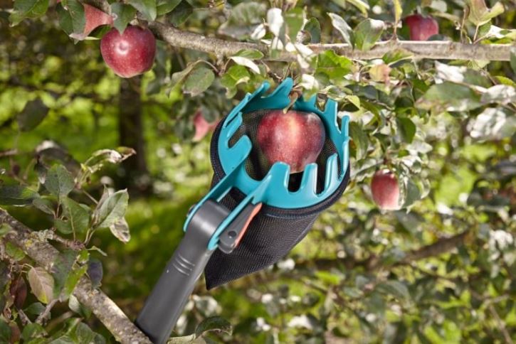 Плодосъёмники (плодосборники) - полезные инструменты для садовода